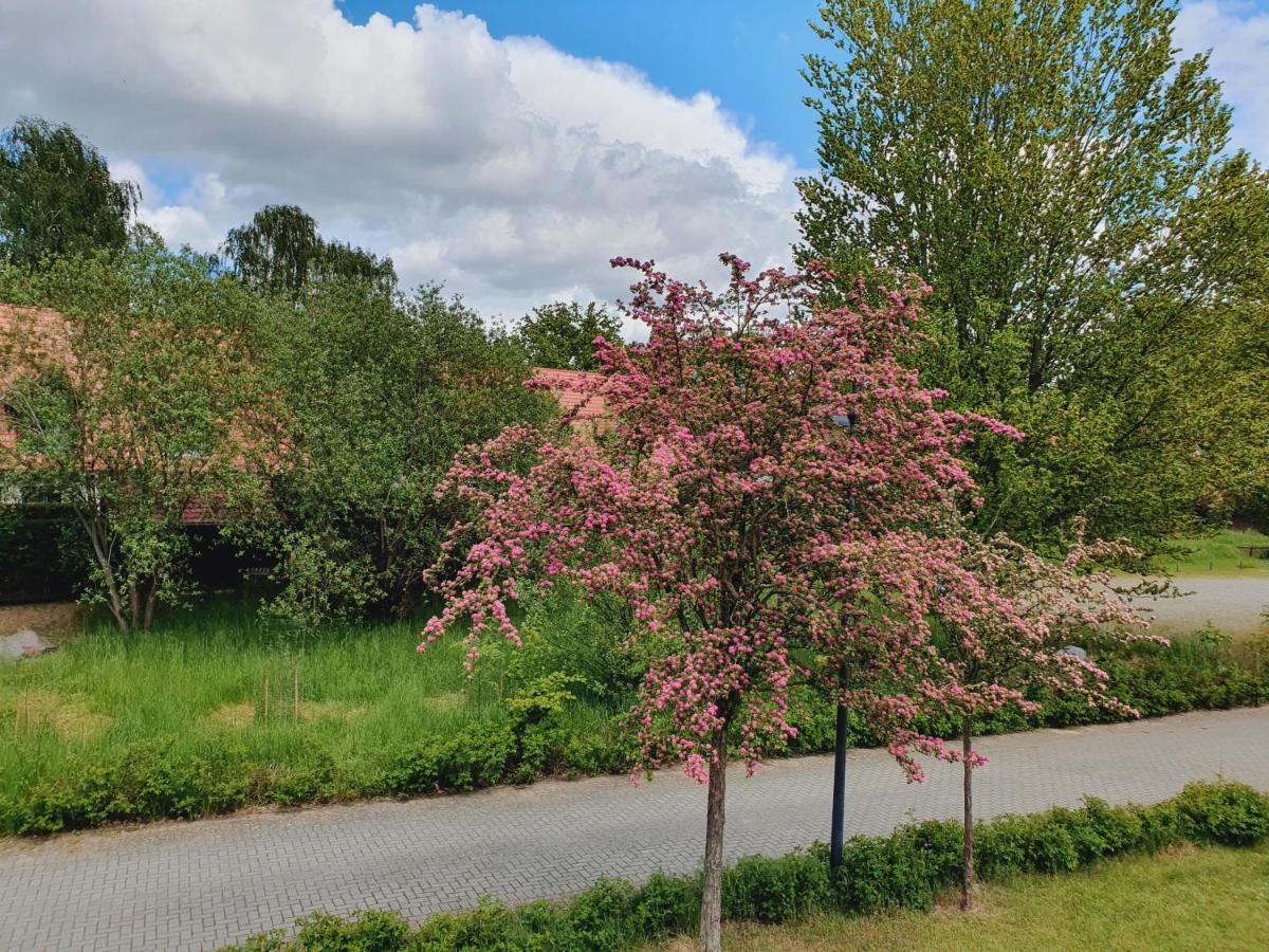 Ferienhaus Hase Villa Burg  Kültér fotó