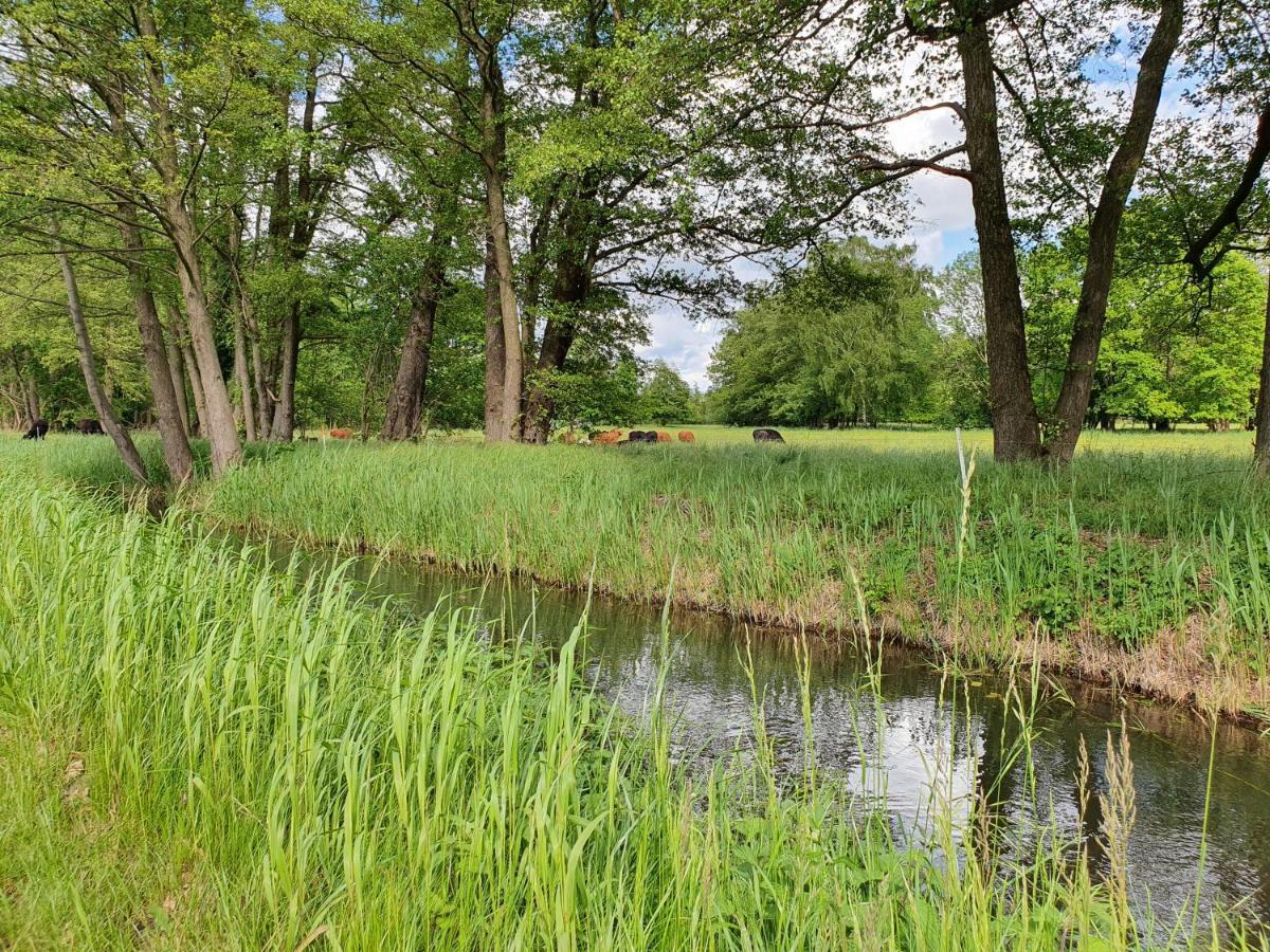 Ferienhaus Hase Villa Burg  Kültér fotó